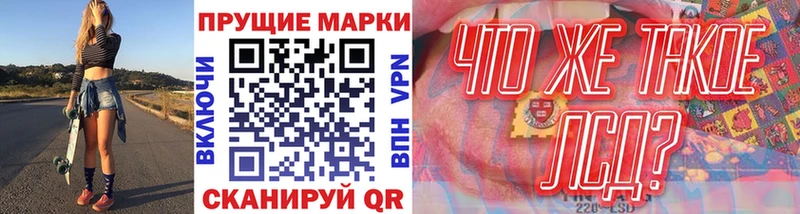 Наркотические марки 1,5мг  kraken зеркало  Новоузенск 